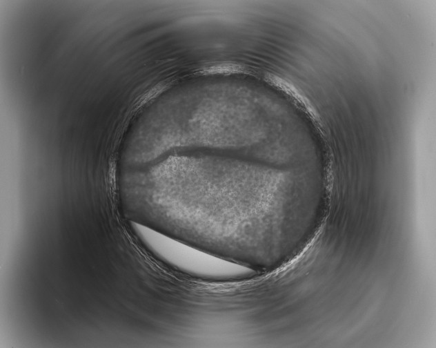 X0000095530825200801111411