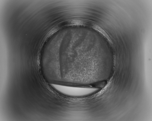 X0000095530826200801111411