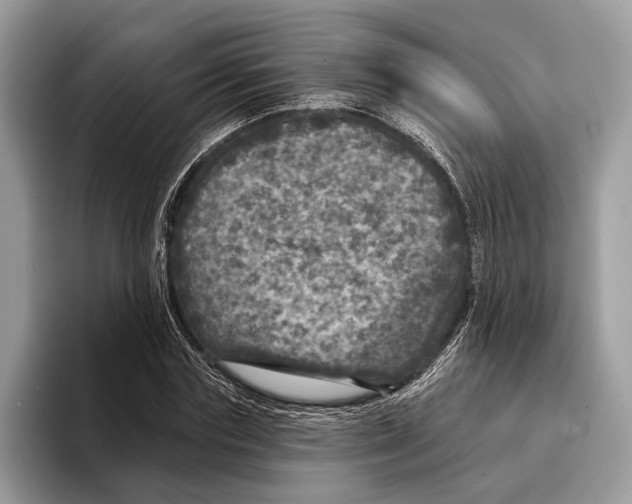 X0000095530827200801111411