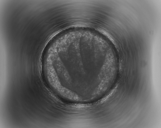 X0000095530829200801111411