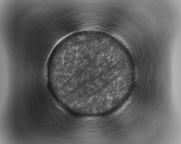 X0000095530830200801111411