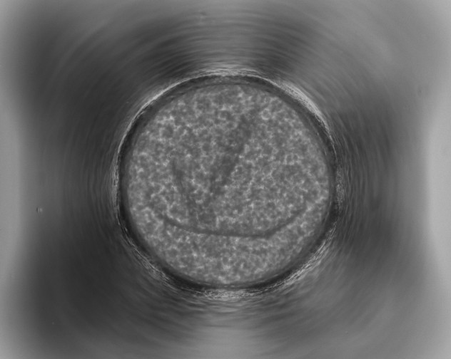 X0000095530831200801111411