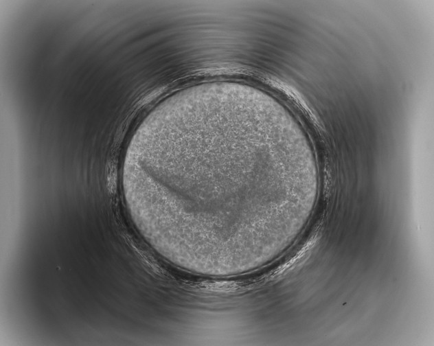 X0000095530833200801111411