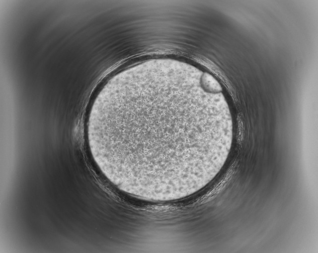 X0000095530834200801111411