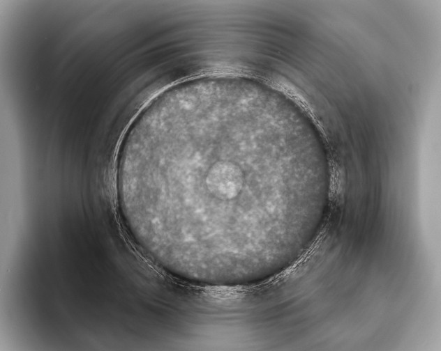 X0000095530836200801111411