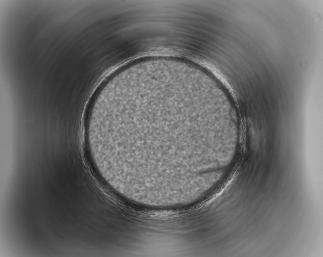 X0000095530837200801111411