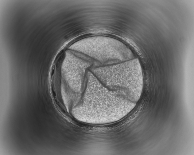 X0000095530840200801111411