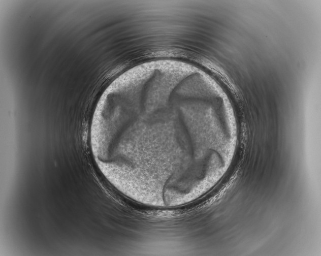 X0000095530841200801111411