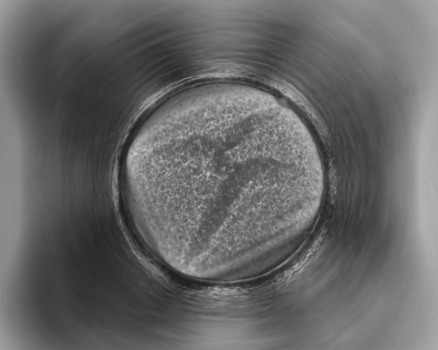 X0000095530842200801111411