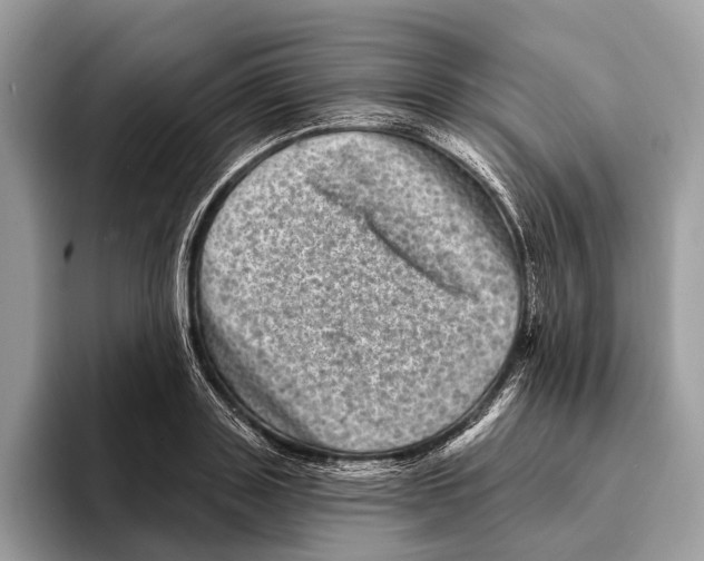 X0000095530843200801111411