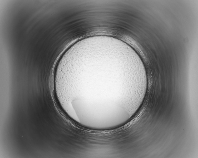 X0000095530844200801111411