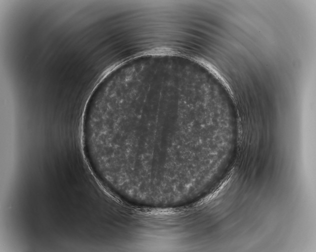 X0000095530845200801111411