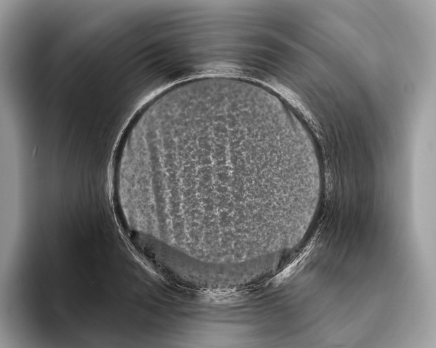 X0000095530846200801111411