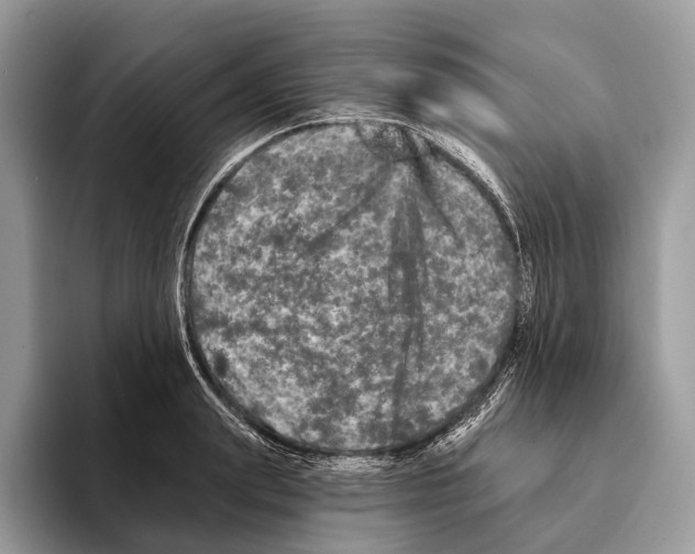 X0000095530847200801111411