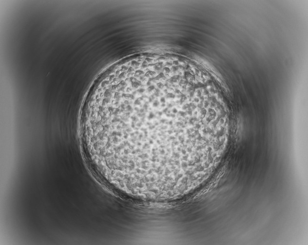 X0000095530848200801111411