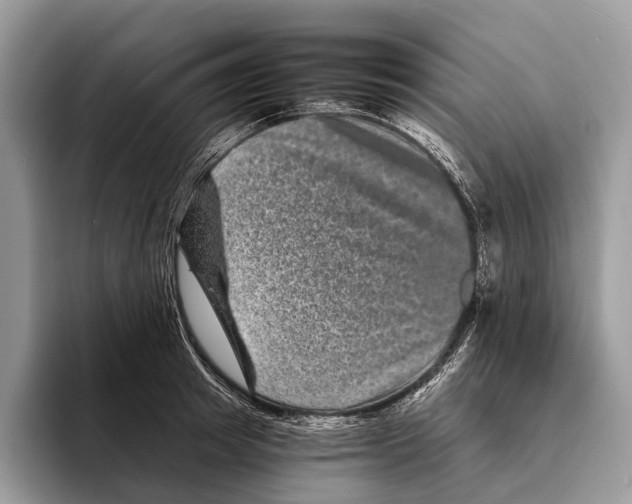 X0000095530849200801111411