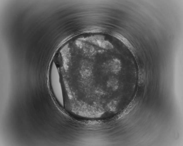 X0000095530850200801111411