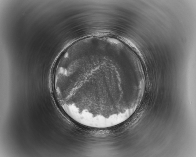 X0000095530851200801111412