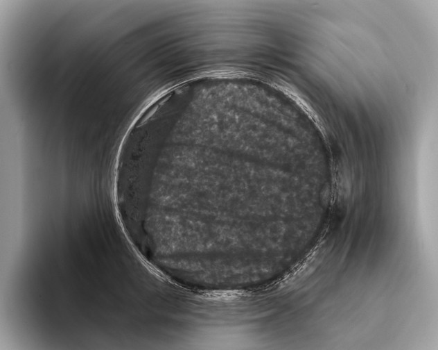 X0000095530853200801111412