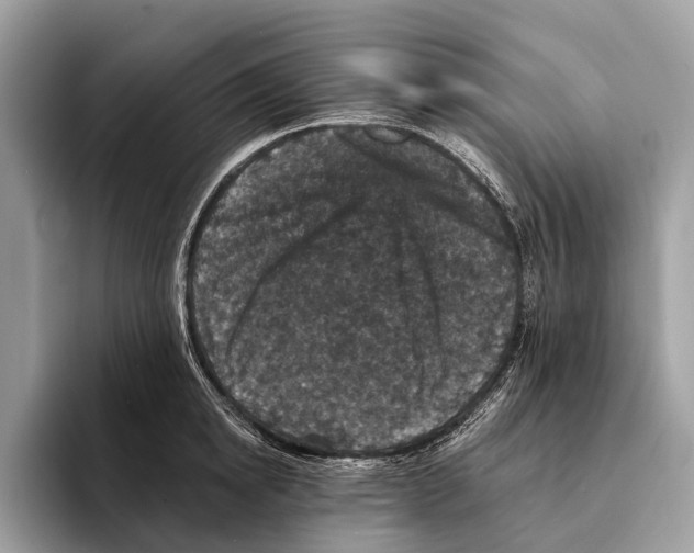 X0000095530854200801111412