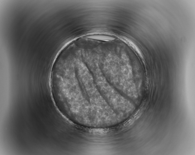 X0000095530855200801111412