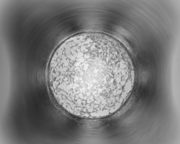 X0000095530856200801111412