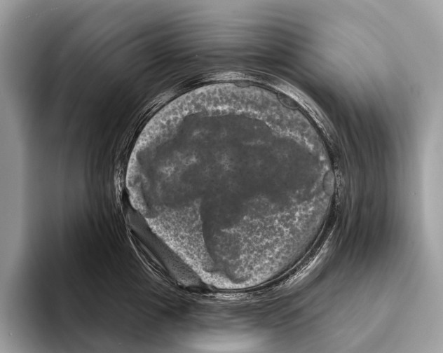 X0000095530857200801111412