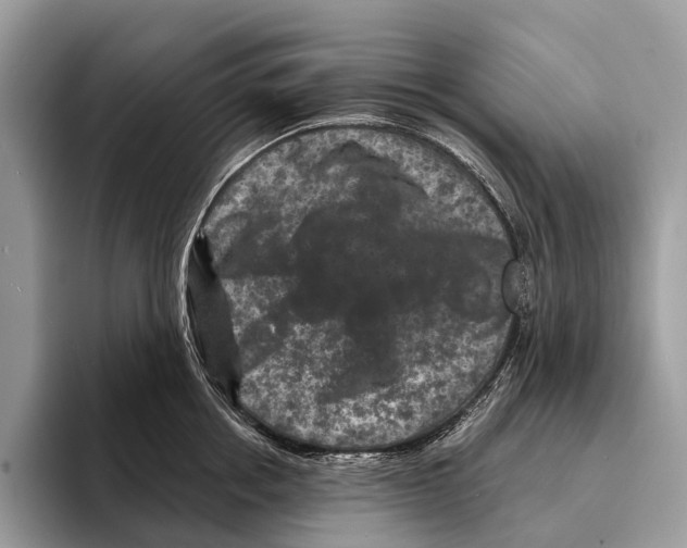 X0000095530858200801111412