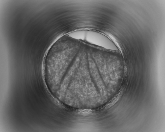 X0000095530859200801111412