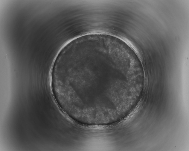 X0000095530862200801111412