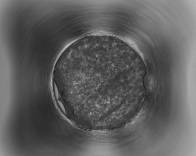 X0000095530863200801111412