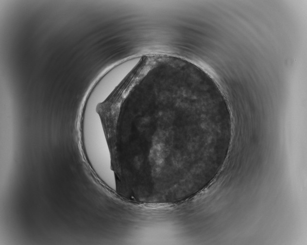 X0000095530864200801111412