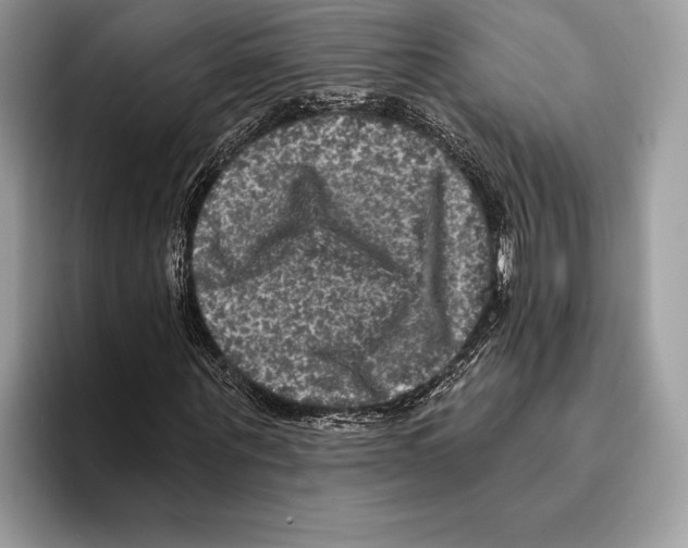 X0000095530867200801111411