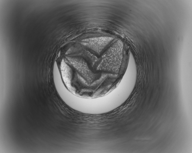 X0000095530868200801111411