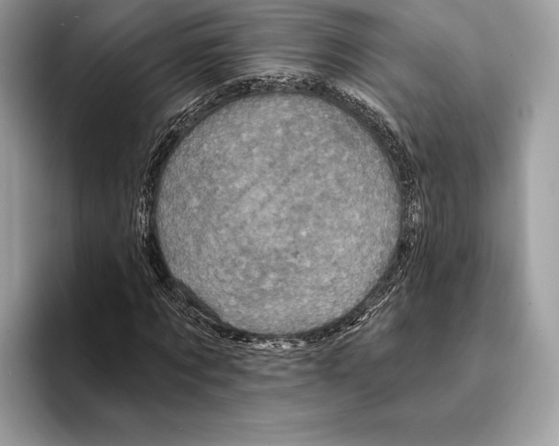 X0000095530869200801111411