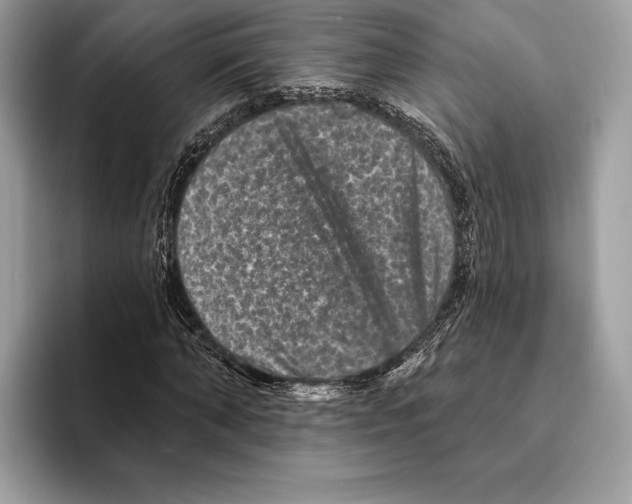 X0000095530870200801111411