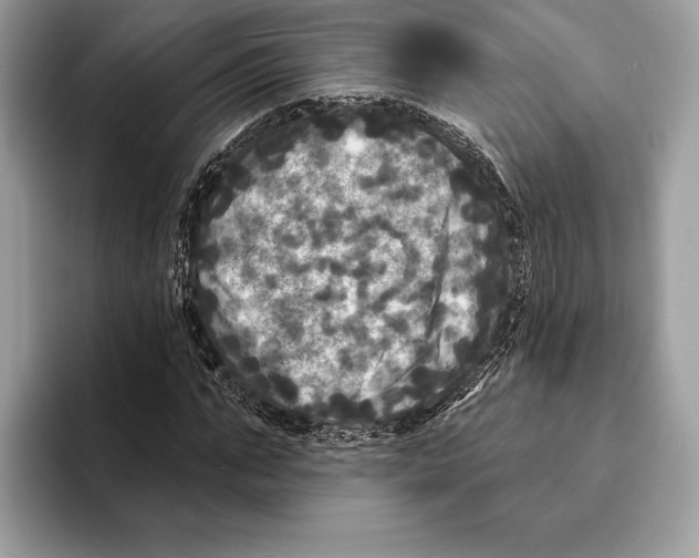 X0000095530871200801111411