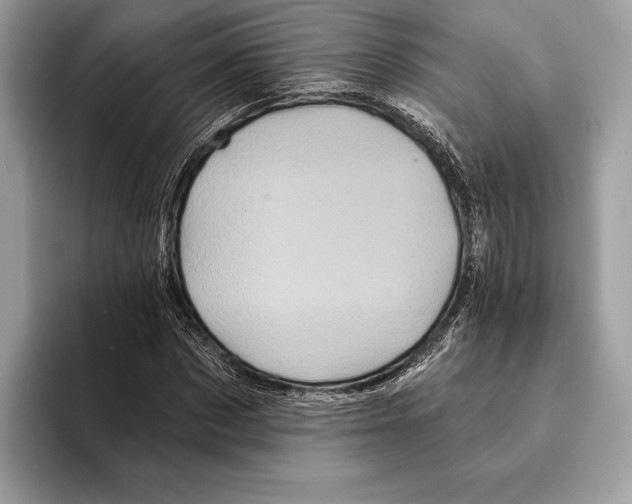 X0000095530873200801111411