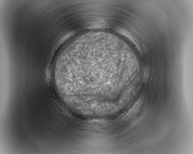 X0000095530874200801111411