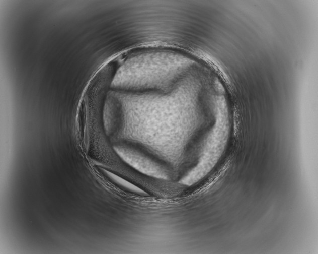 X0000095530876200801111411