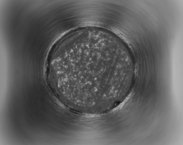 X0000095530877200801111411