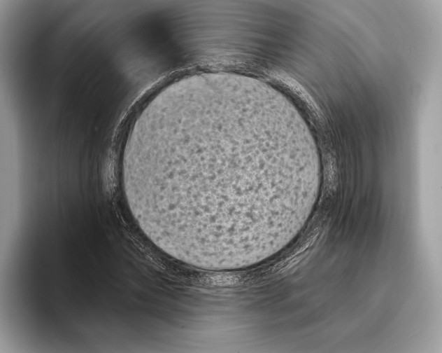 X0000095530878200801111411