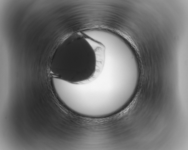 X0000095530881200801111411