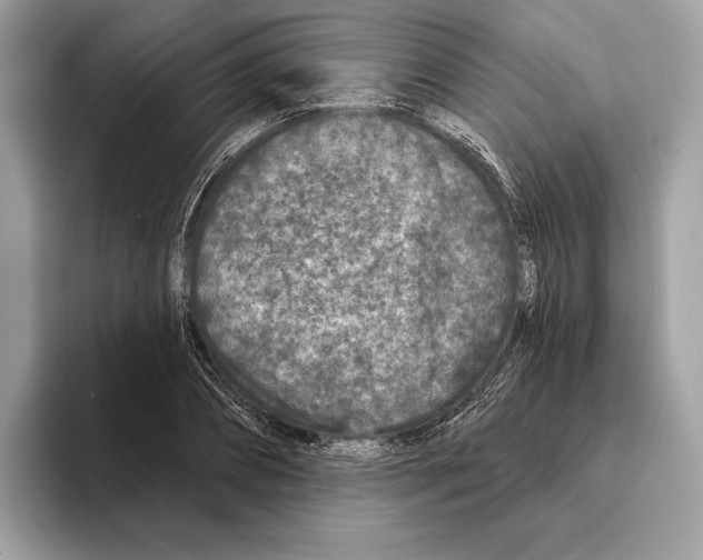 X0000095530882200801111411