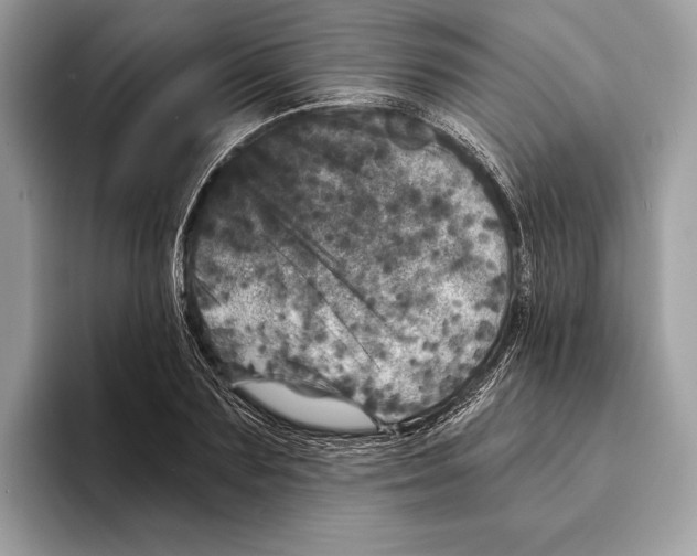 X0000095530883200801111411