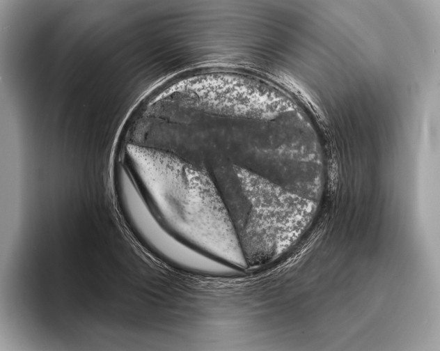 X0000095530884200801111411