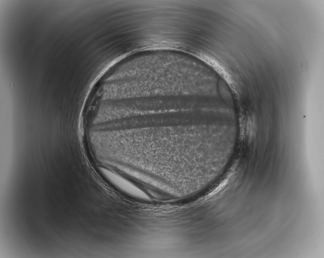 X0000095530885200801111411