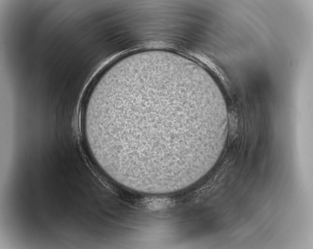 X0000095530886200801111411