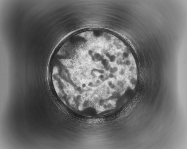 X0000095530887200801111411