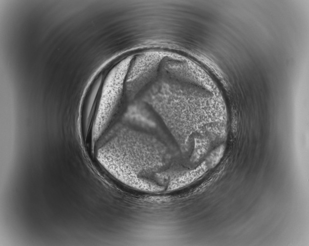 X0000095530888200801111411